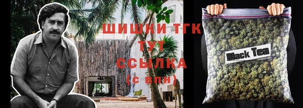 ПСИЛОЦИБИНОВЫЕ ГРИБЫ Дмитров